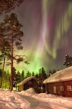 
                    
                        Breathtaking view of Northern lights in Finland. Discovered by Kristin Repsher at Ounasvaaran Lakituvat, Rovaniemi, Finland
                    
                