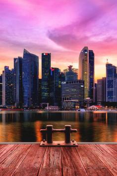 
                    
                        Singapore Cityscape
                    
                