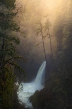 
                    
                        Forest Dreams by Majeed Badizadegan on 500px #Columbia_Gorge #Oregon #USA
                    
                