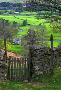 
                    
                        England.....now that's a view
                    
                