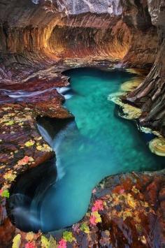 
                    
                        Travel enthusiasts share their insider tips and pictures about Zion National Park, Utah
                    
                