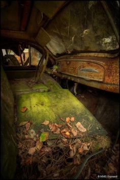 
                    
                        Interior of an abandoned car. Photo by martino_ on flickr
                    
                