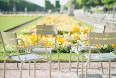 
                    
                        Paris Photography   Chairs at Luxembourg Gardens by GeorgiannaLane
                    
                