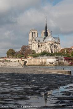 
                    
                        Notre Dame by Bart Ceuppens on 500px
                    
                