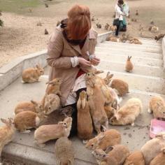 
                    
                        Okunoshima, Japan. "Rabbit Island" so basically there are rabbits everywhere that you can feed and pet and stuff it's overrun by rabbits @Katie Hrubec Thalhamer
                    
                