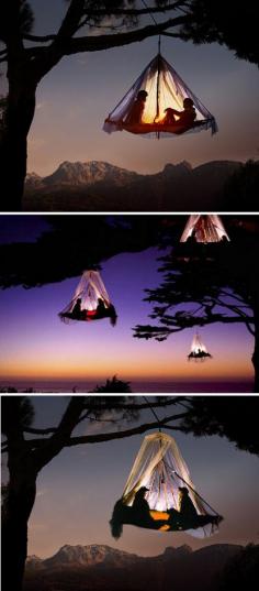 
                    
                        Tree Camping in Germany
                    
                