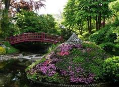 
                    
                        japanese garden design, yard landscaping ideas
                    
                