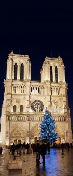 
                    
                        Notre Dame Cathedral in Paris, France     |    25 Impressive photos of Christmas celebrations around the World. #17 Is Awesome!
                    
                