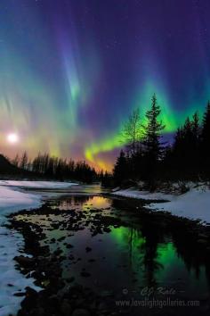 
                    
                        Aurora moonset - Alaska - USA
                    
                