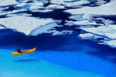 
                    
                        Floating in blue. Glacier Bay, Alaska.
                    
                