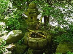 
                    
                        Japanese garden with water fountain
                    
                