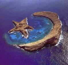 
                    
                        Beauty Of NatuRe: Island of Molokini - natural star
                    
                