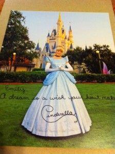 
                    
                        if you write a letter to a character at disney (walt disney world communications p.o. box 10040 lake buena vista, fl 32830-0040), they will send you an autographed photo back!
                    
                