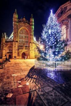 
                    
                        Bath Abbey, Christmas Tree, Roman Baths, Somerset, England
                    
                