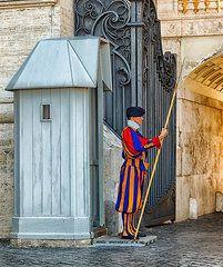 
                    
                        Hdr Italy Art - Swiss Guard at Vatican City by Mountain Dreams
                    
                