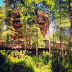 
                    
                        Huilo Huilo in Neltume, Chile | 16 Hotels That Are So Cool You'll Want To Stay Forever
                    
                