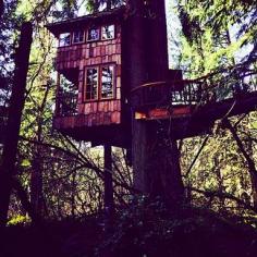 
                    
                        Treehouse Point in Fall City, Washington | 16 Hotels That Are So Cool You'll Want To Stay Forever
                    
                