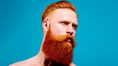 
                    
                        Red Hot exhibition of beautiful redheaded men (PHOTOS) - IrishCentral.com
                    
                