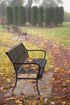 
                    
                        hueandeyephotography: “Bench in Autumn, Meditation Garden, Charleston, SC © Doug Hickok All Rights Reserved ”
                    
                