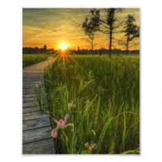 
                    
                        Prairie Sunset Photo Art #prairie
                    
                