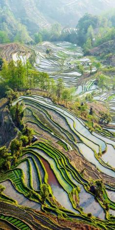 
                    
                        Yuan Yang Rice Terraces - "Tiger Mouth" under the sunset in yunnan province of China.   |   21 Magnificent Photos That Will Place China On Your Bucket List
                    
                