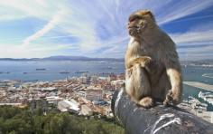 
                    
                        Gibraltar
                    
                