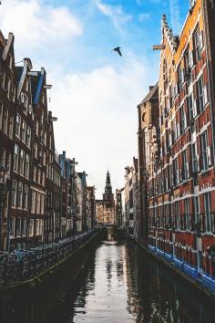 
                    
                        Amsterdam, Netherlands
                    
                