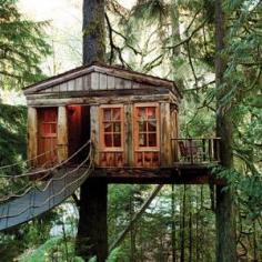 
                    
                        Tree House Point, Washington, USA - among the 100 most amazing, unique hotels in the world, might actually have a chance to go here someday
                    
                