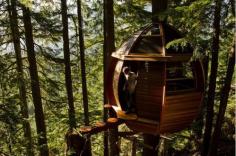 
                    
                        Treehouses you wish were in your backyard (22 photos)
                    
                