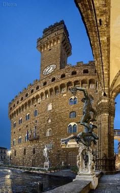
                    
                        Piazza Della Signoria, Palazzo Vecchio, Florence, Italy
                    
                