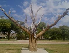 
                    
                        Angel tree in #BayStLouisMississippi #BayStLouisMS #MississippiGulfCoast #MSGulfCoast
                    
                