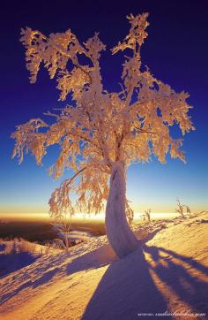 
                    
                        Frozen by Vadim Balakin
                    
                