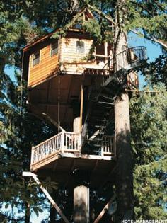 
                    
                        7 Cool Tree House Hotels - MainStreet
                    
                