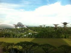 
                    
                        Gardens By The Bay
                    
                