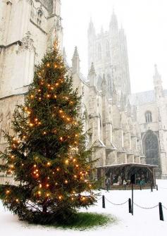 
                    
                        Canterbury Cathedral, Snowing, Christmas Tree Lights and Nativity by Jim_Higham on Flickr.
                    
                