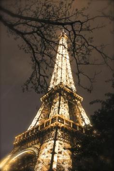 
                    
                        Elegant Eiffel
                    
                