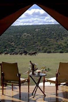 
                    
                        Gorah Elephant Camp, Africa
                    
                