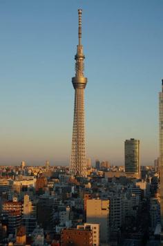 
                    
                        Tokyo Skytree
                    
                