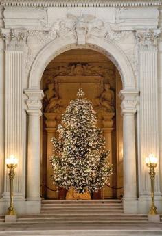 
                    
                        Holidays. Christmas Tree in Paris. Photographer: Melissa Mercier.
                    
                