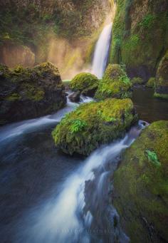 
                    
                        Wahclella Falls, Oregon #USA
                    
                