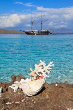 
                    
                        Komodo National Park, East Nusa Tenggara, Indonesia
                    
                