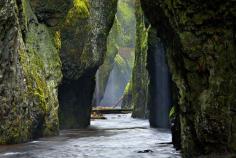
                    
                        Oneonta Gorge, Oregon | 29 Surreal Places In America You Need To Visit Before You Die
                    
                