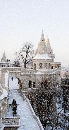 
                    
                        The Royal Palace at winter, Budapest   |   The 20 Most Stunning Fairytale Castles in Winter
                    
                