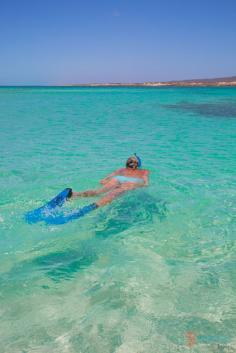 
                    
                        Snorkeling at Ningaloo Reef in Exmouth, Western Australia - add to your bucket list
                    
                