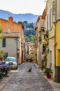 
                    
                        Traveling cat in Cassis in the French Provence - travelling-cats.b...
                    
                