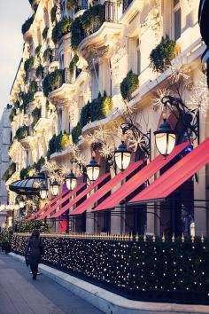 
                    
                        Plaza athenee, paris christmas, avenue montaigne, fine art travel photography, carla coulson, departure lounge
                    
                