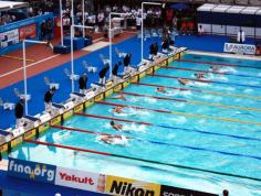 
                    
                        #Dive into #Barcelona to experience the 15th #FINA Championships
                    
                