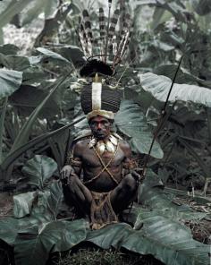 
                    
                        Kalam tribe, Papua New Guinea. Jimmy Nelson: "Before they pass away"
                    
                