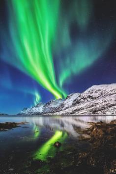 
                    
                        Aurora Borealis in Norway | sinueserra1
                    
                