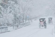 
                    
                        雪中人力車 Rickshaws in the snow
                    
                